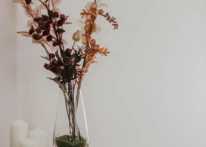 Słoneczny Zakątek Krynica-zdrój Apartamento *